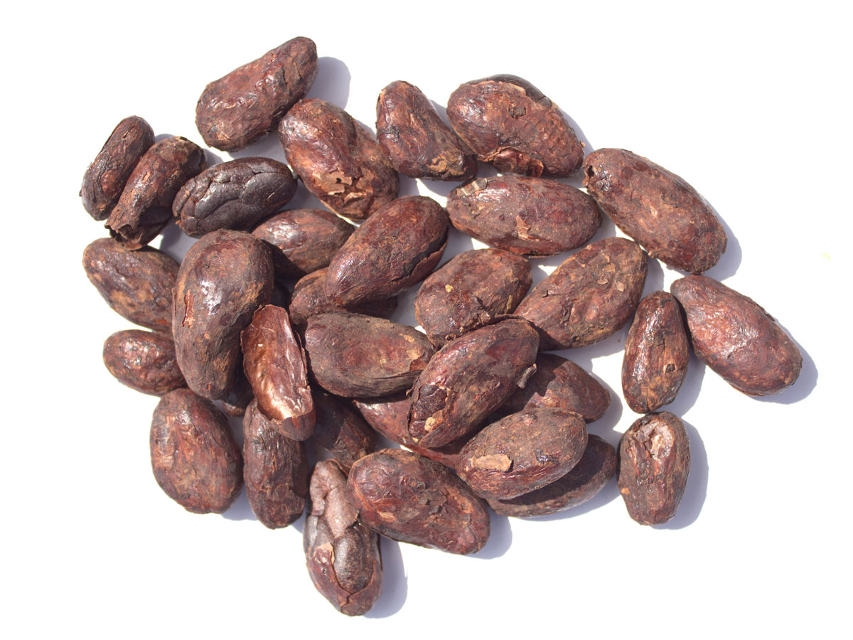 fèves de cacao - torréfaction